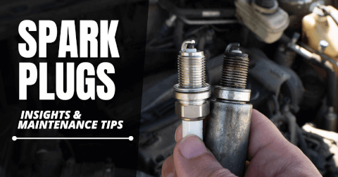 Bmw Spark Plug Gap Chart NGK 97506 Pre Gapped Spark Plug Set For BMW