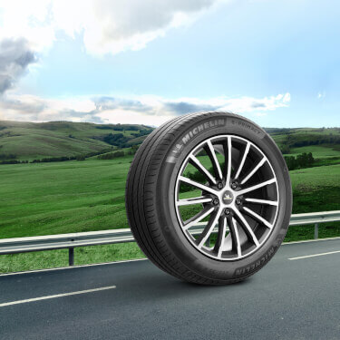 Shop Premium Tyres from Michelin | e.Primacy S1 | 235/45 R21 97W