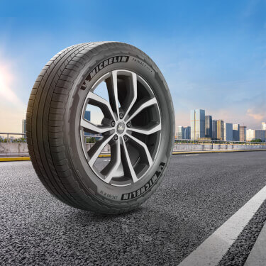 Shop Premium Tyres from Michelin | Primacy SUV+ | 265/60 R18 110H